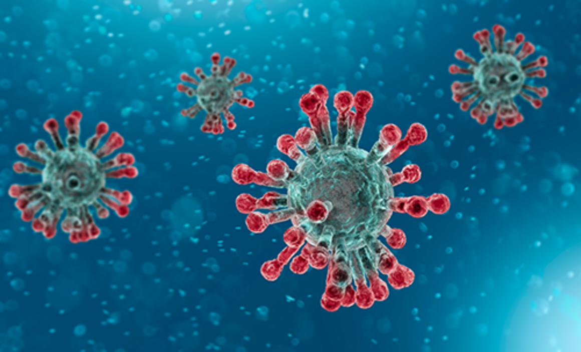 Reder of the SARS-CoV-2 virus